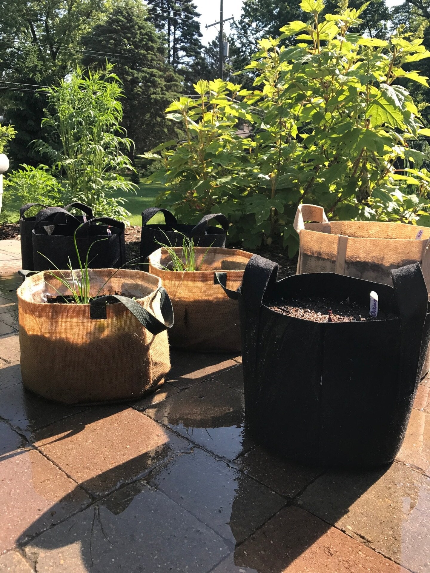 Fabric Planters - Grow Bags