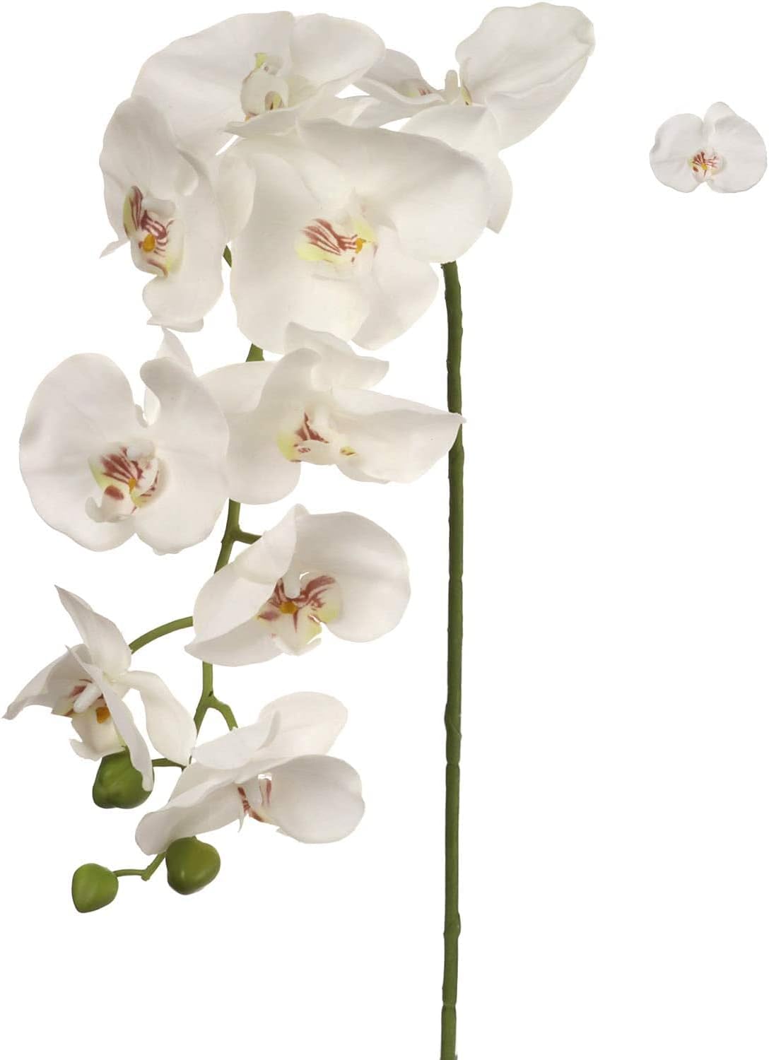 1 stem - 49" White Artificial Orchid Stems – 16 Silk Phalaenopsis Blooms on each stem by Floral Home®