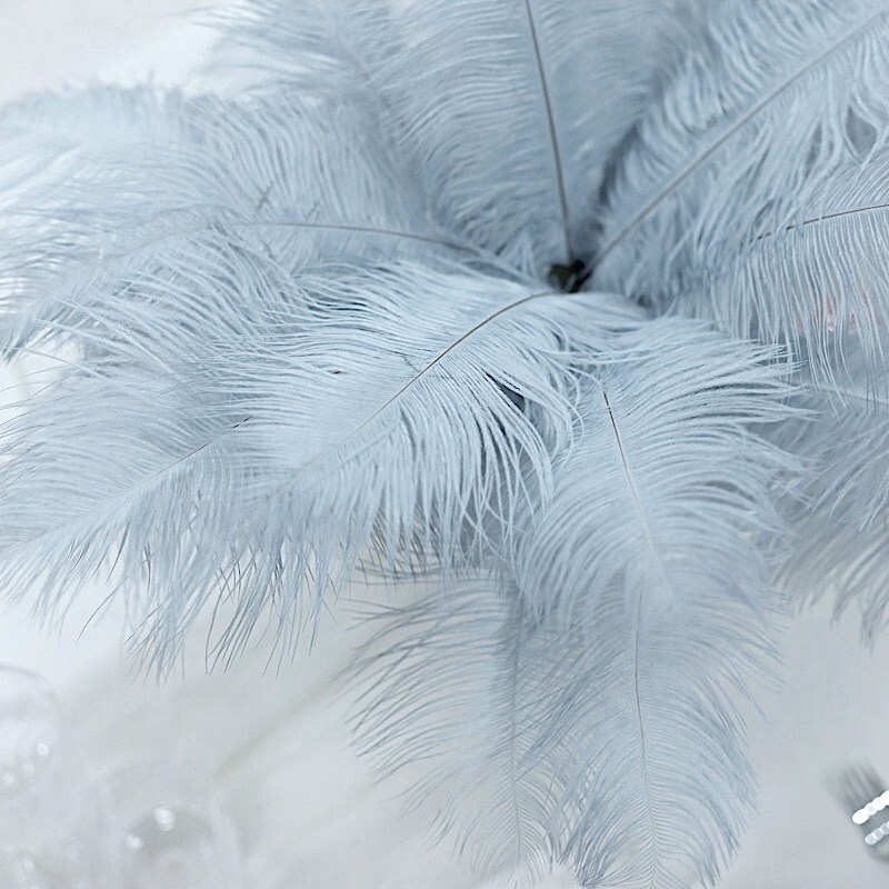 12 pcs 13&#x22;-15&#x22; long Genuine Ostrich Feathers