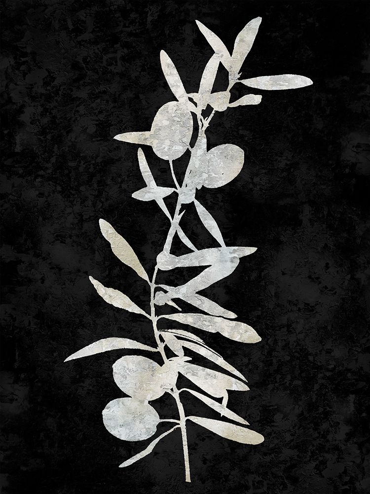 Nature White on Black IV by Danielle Carson - Item # VARPDXDLC117865