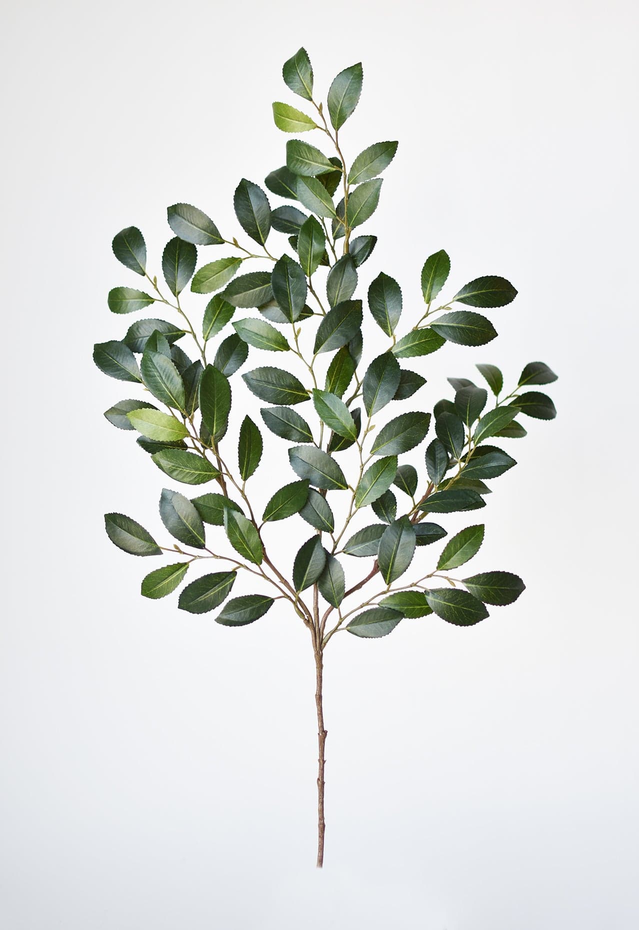 26&#x22; Faux Ruscus Leaf Stem