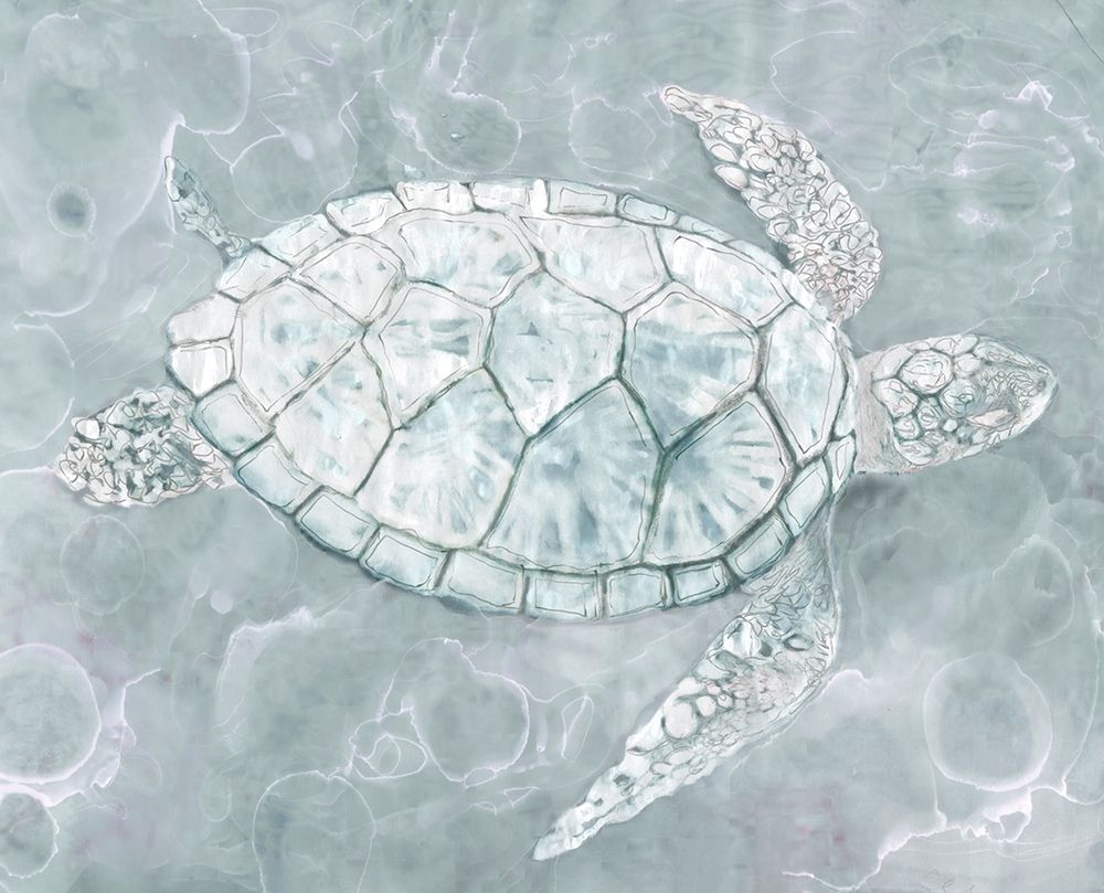 Sea Turtle�_ Poster Print by Stellar Design Studio Stellar Design Studio # TV042A