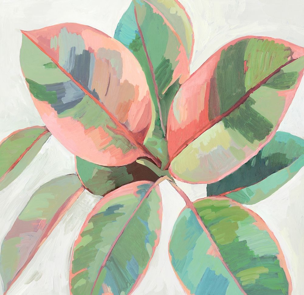 Pink Ficus II by Asia Jensen - Item # VARPDXJN439A