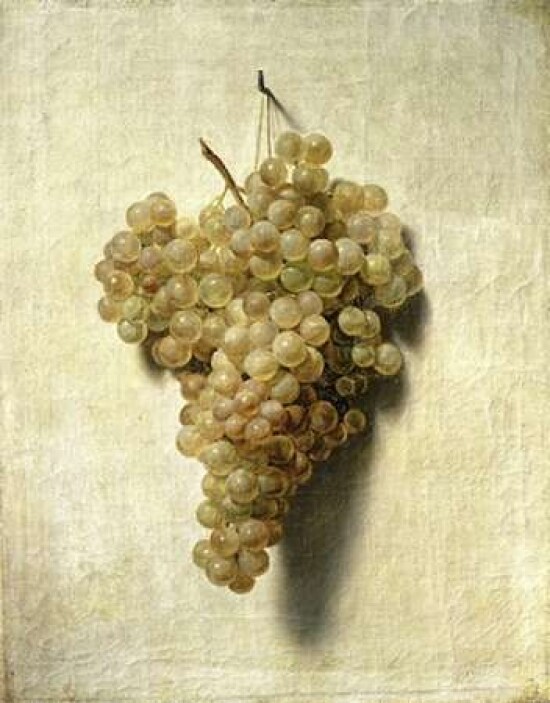 White Grapes - Raisons Blancs Poster Print by  Louis Leopold Boilly - Item # VARPDX281741