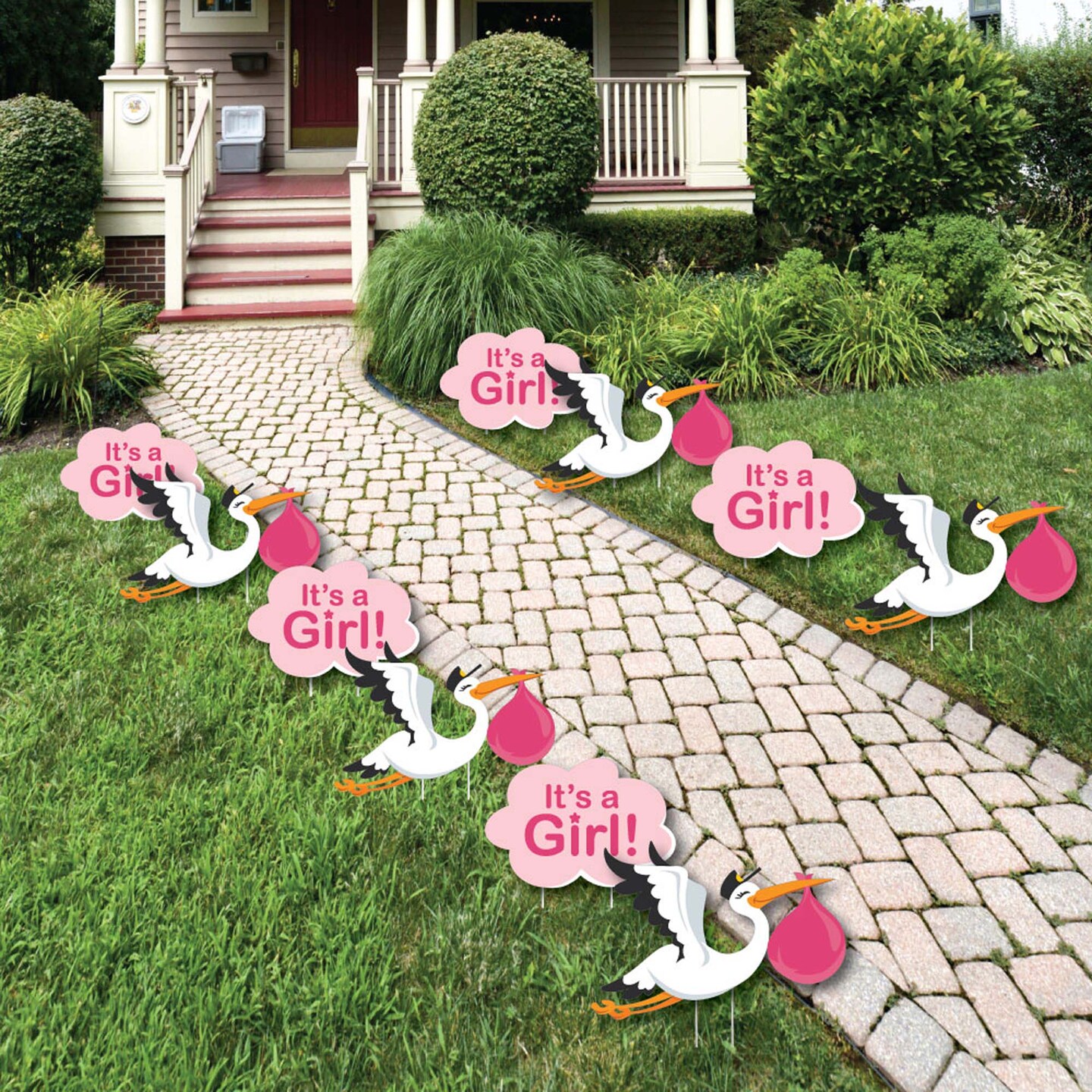 Big Dot of Happiness Girl Special Delivery - Baby Announcement Lawn Decor - Outdoor Pink It&#x27;s a Girl Stork Baby Shower Yard Decorations - 10 Piece