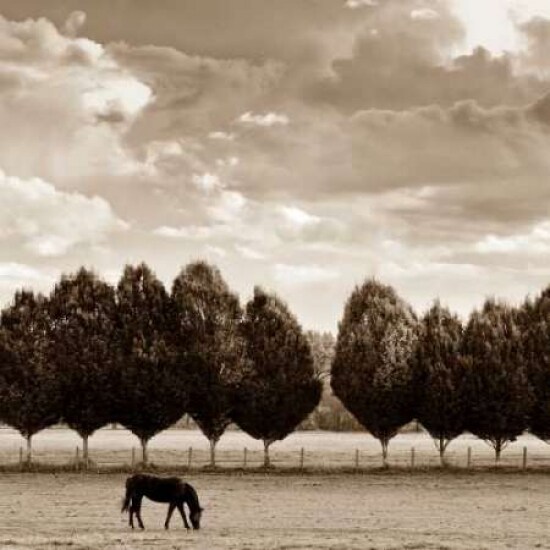Grazing Poster Print by Heather Ross - Item # VARPDXRHP116