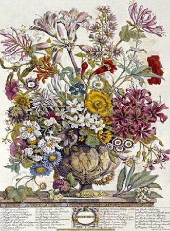 October - Twelve Months of Flowers Poster Print by Robert Furber - Item # VARPDX268001