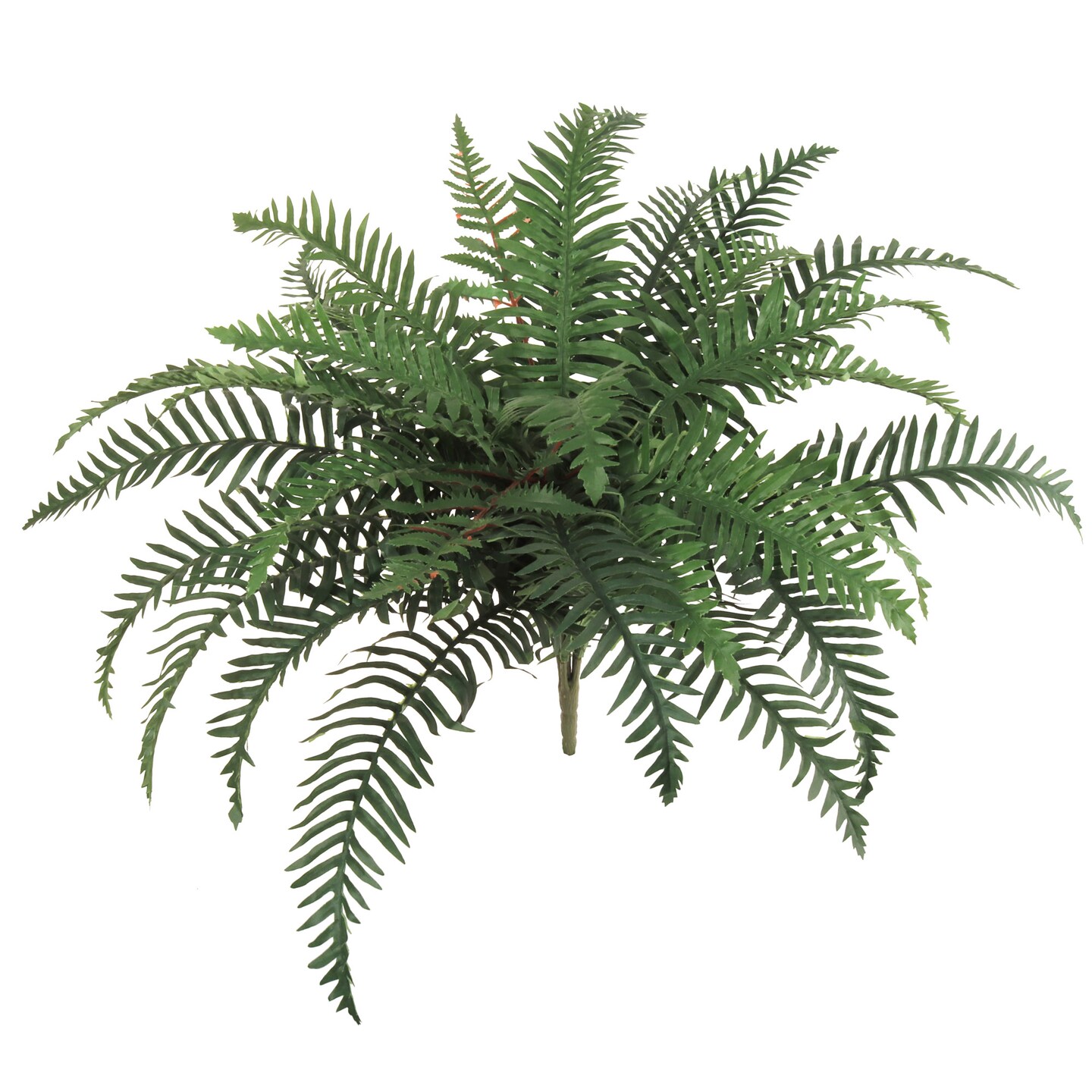 6-Pack: River Fern Plant with 30 Silk Fronds, 32&#x22; Wide by Floral Home&#xAE;