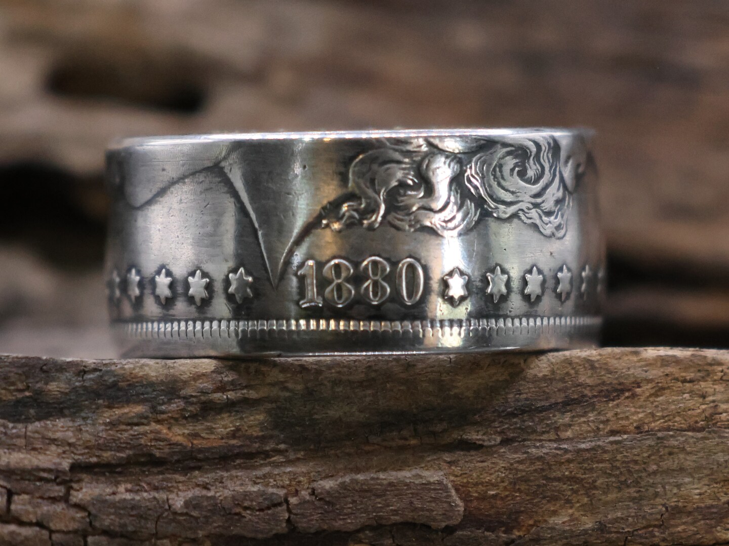 Morgan Silver Dollar - Obverse (Dates Vary) | MakerPlace by Michaels