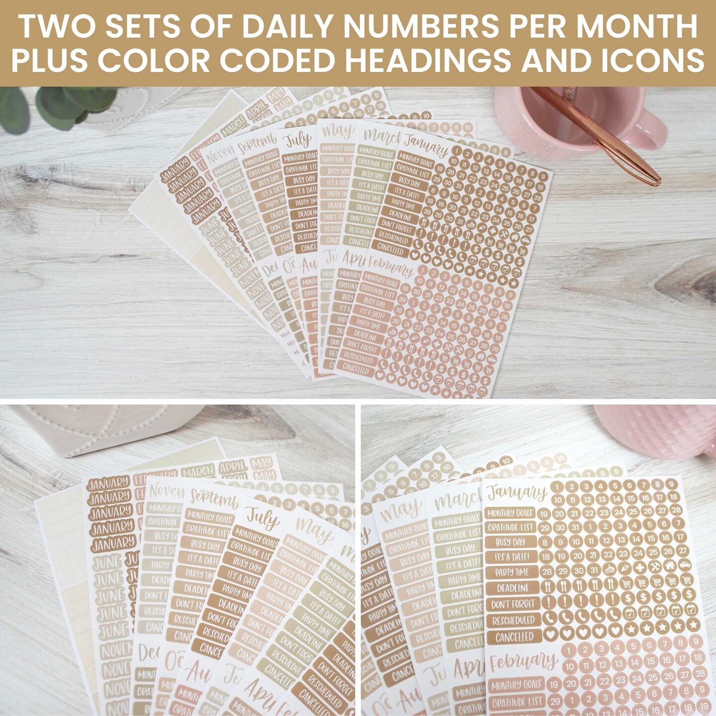 bloom daily planners Planner Sticker Pack, Calendar Essentials, Aesthetic Boho