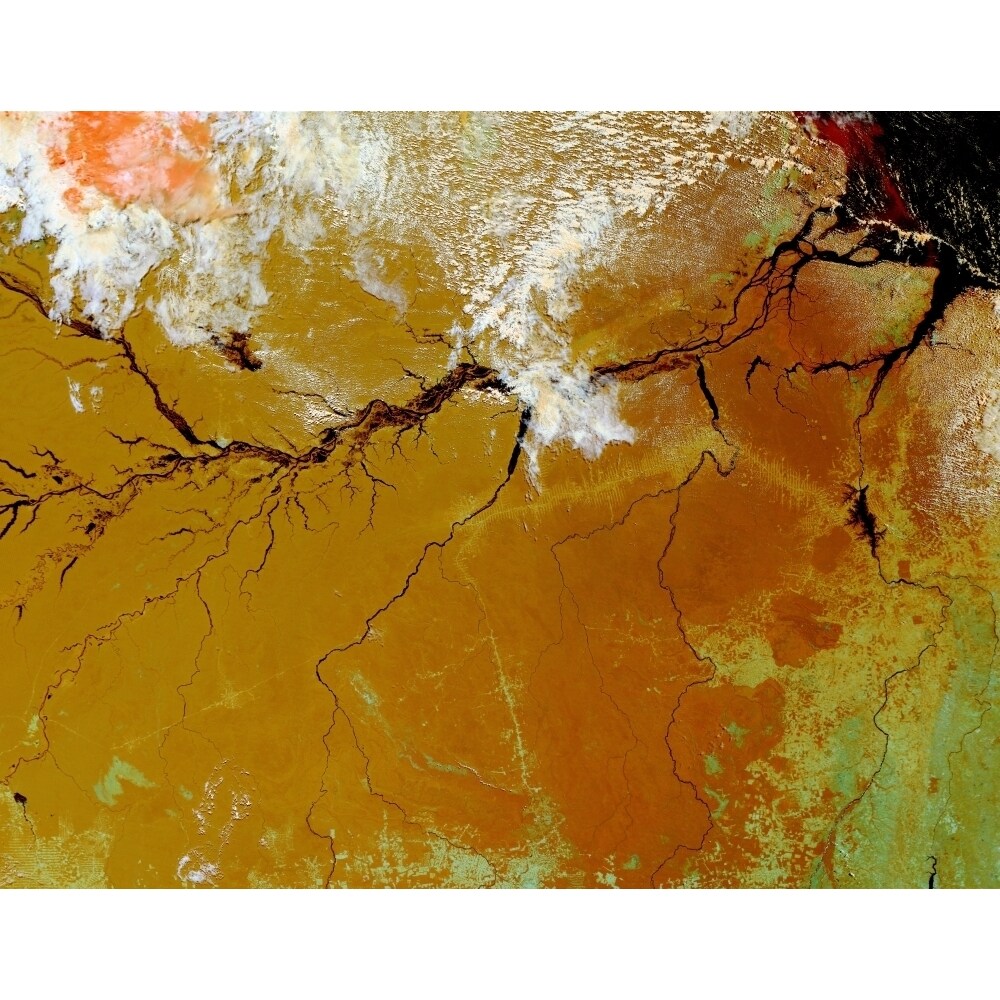 Posterazzi The Amazon Rainforest Poster Print