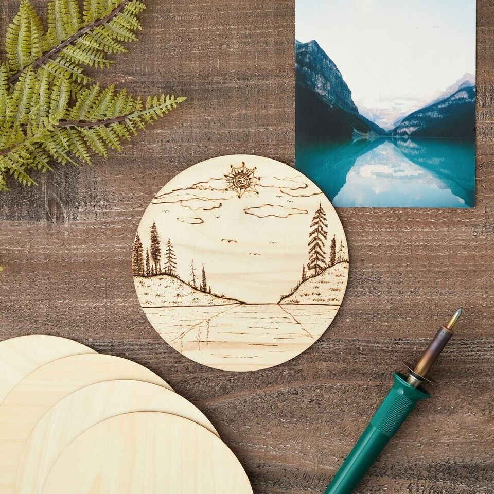 12 Pack 6 Inch Unfinished Wood Circles for Crafts, Engraving, Round Wooden Discs