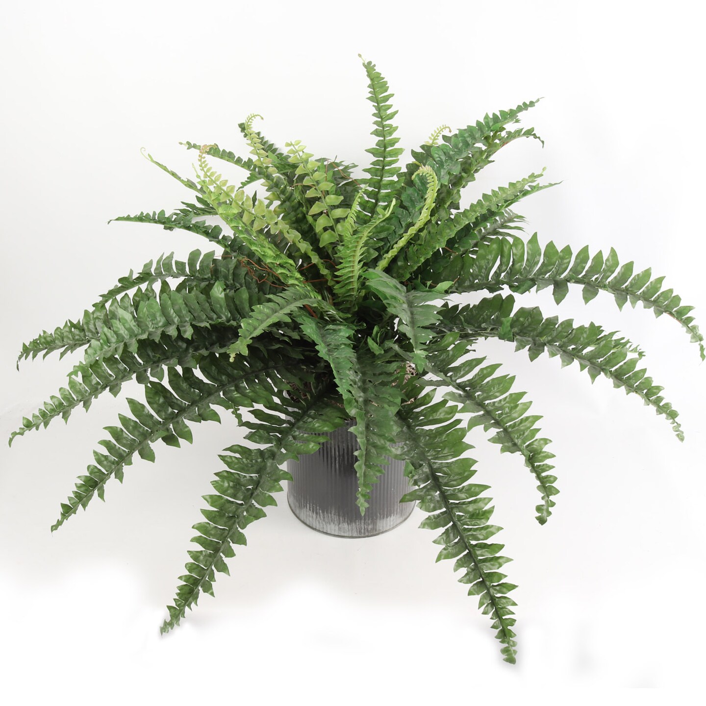 2-Pack: Boston Fern Plant with 42 Silk Fronds, 34&#x22; Wide, Faux Greenery by Floral Home&#xAE;