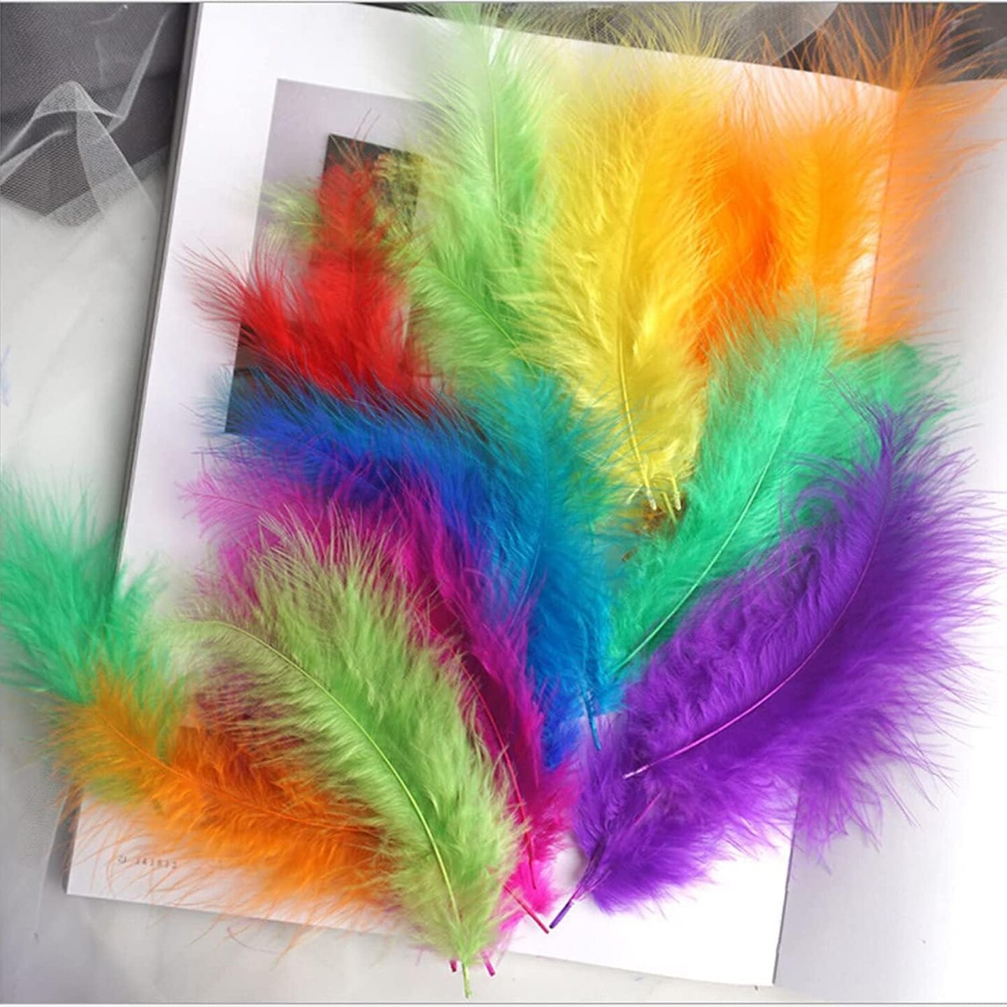Assorted Colors Soft Feathers