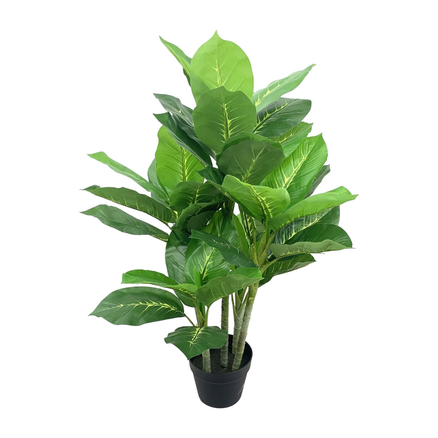 38&#x22; Dieffenbachia Plant in Black Pot with Realistic Silk Leaves by Floral Home&#xAE;