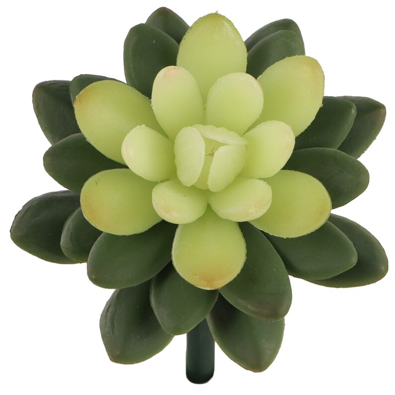 Artificial Succulent 5Inches Sedum Indoor Outdoor Succulents Michaels