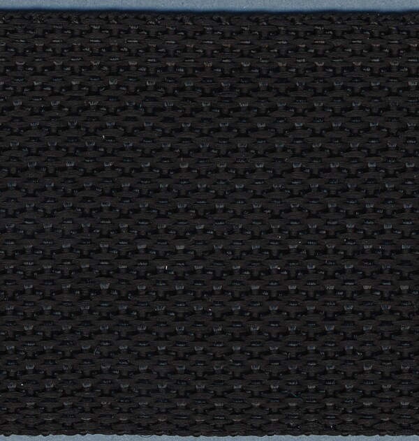 Simplicity Webbing 2&#x22;X10yd-Black