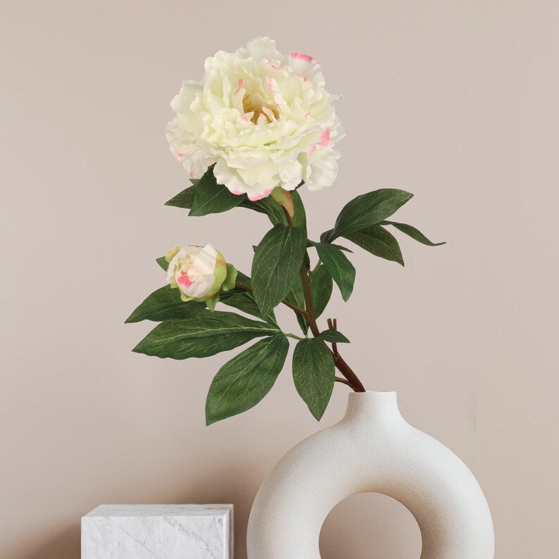 Lifelike 30" Cream and Pink Silk Peony Stem - Perfect for Floral Arrangements and DIY Crafts"