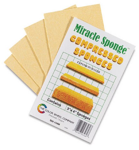 Colors Sponges 4-Count