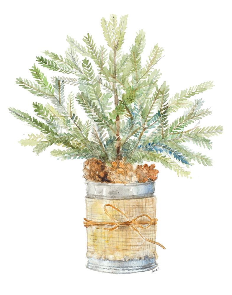 Fir Tree with Burlap Poster Print by Lanie Loreth # 14507