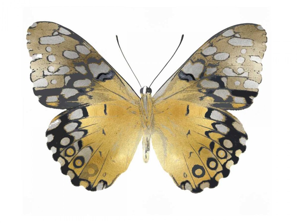 Golden Butterfly I Poster Print by Julia Bosco # JBC113337