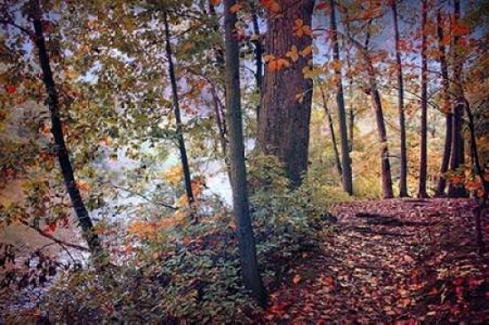 Season of Colors Poster Print by John Rivera - Item # VARPDXR1106D