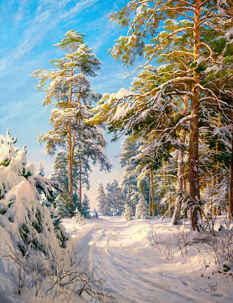 Pine forest winter Poster Print by Sergej Basov - Item # VARPDXBC44