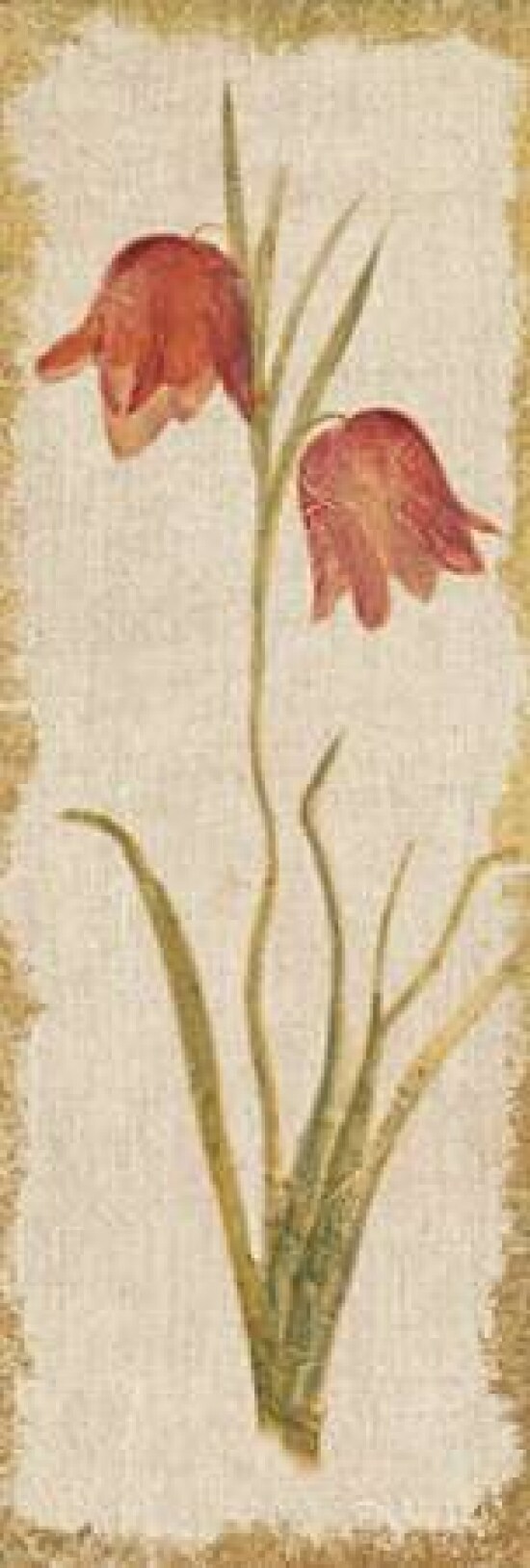 Red Tulip Panel on White Vintage Poster Print by Cheri Blum - Item # VARPDX24616