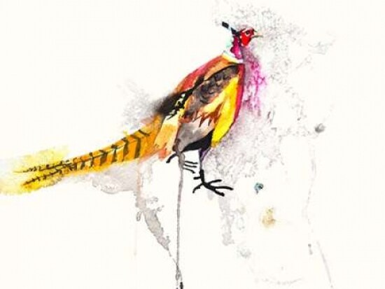 Pheasant Poster Print by  Karin Johannesson - Item # VARPDXJ365D