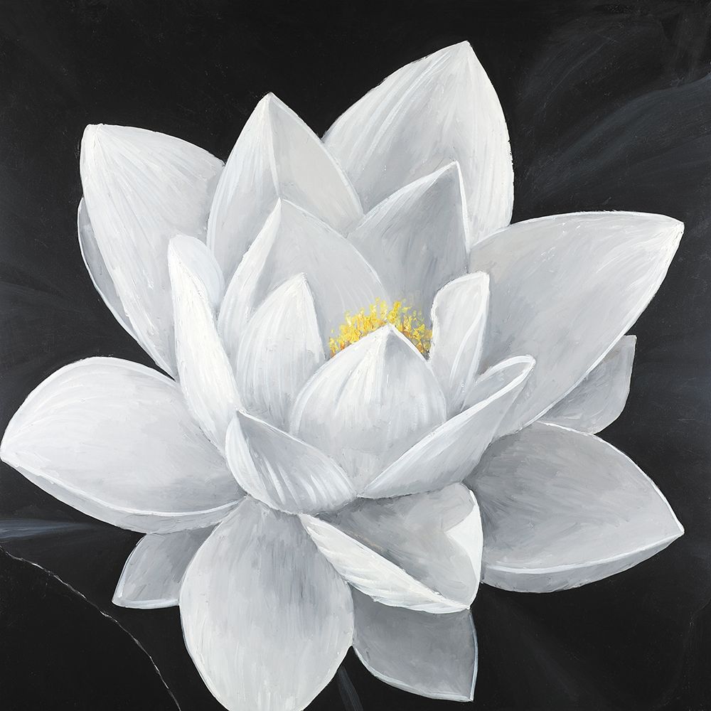 Overhead View Of A Lotus Flower Poster Print by Atelier B Art Studio - Item # VARPDXBEGFLO199