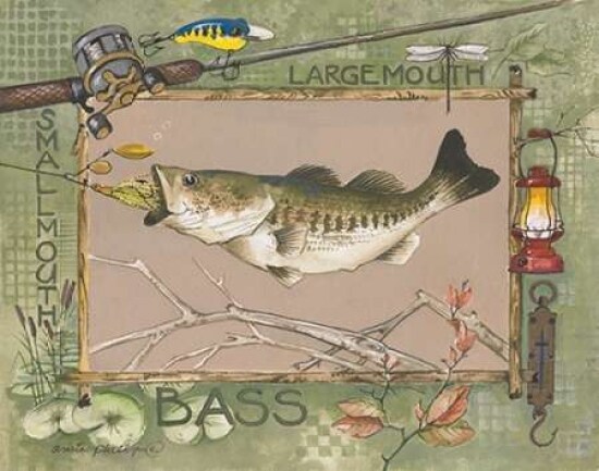 Large Mouth Bass Poster Print by Anita Phillips - Item # VARPDXAP066
