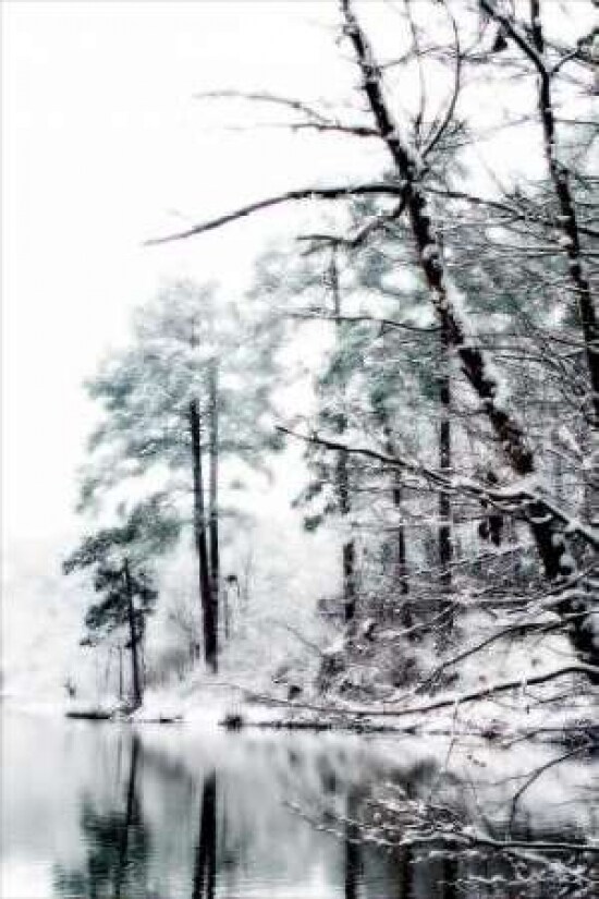 Shelly Lake in Winter I Poster Print by Alan Hausenflock - Item # VARPDXPSHSF108
