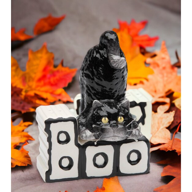 kevinsgiftshoppe Ceramic Magnetic Halloween Cat and Boo Salt and Pepper Home Decor   Kitchen Decor Fall Decor Halloween Decor