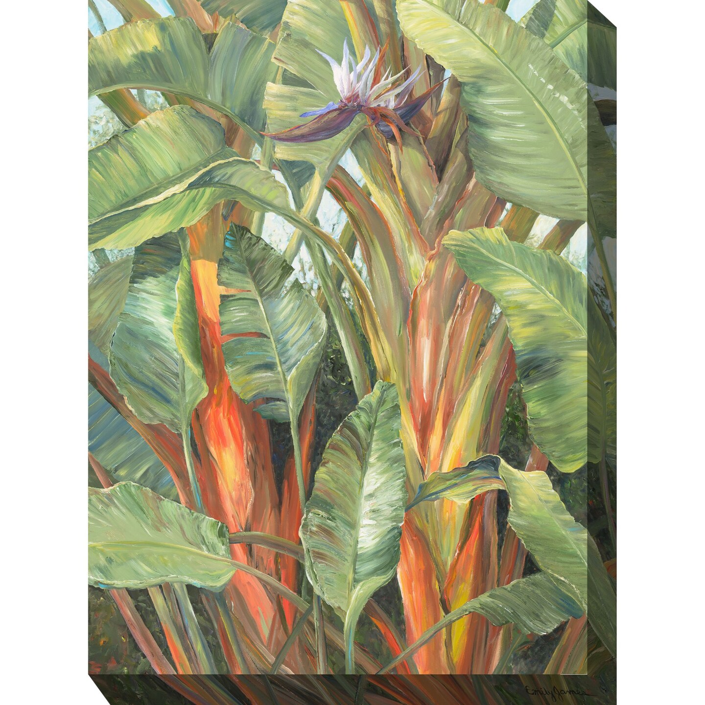 Outdoor Living and Style Brown and Green Hidden Paradise Outdoor Canvas