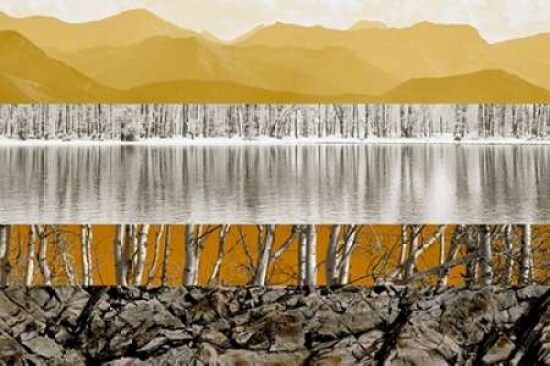 Nature Collage I Poster Print by PI Studio