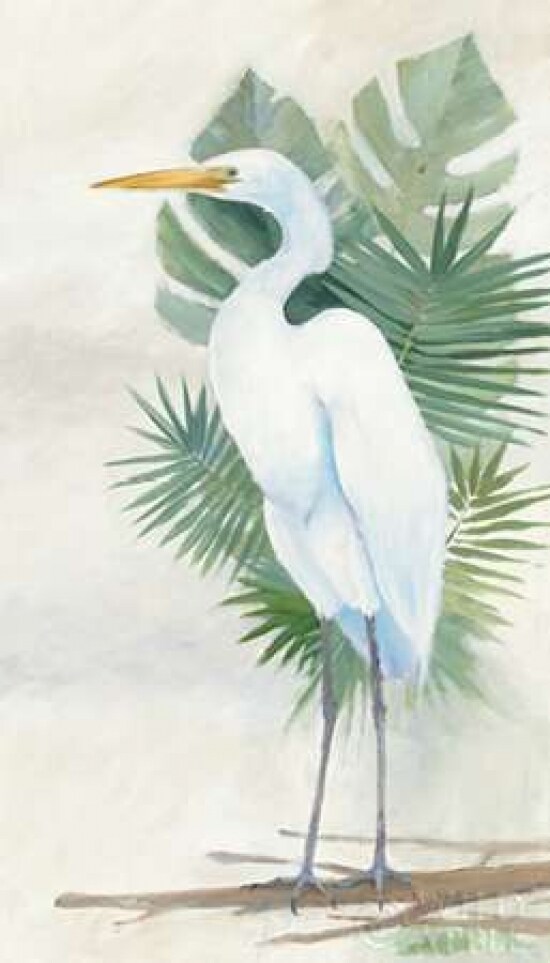 Standing Egret II Crop Poster Print by Avery Tillmon - Item # VARPDX27117