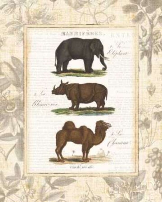 African Animals II Poster Print by Wild Apple Portfolio - Item # VARPDX13529