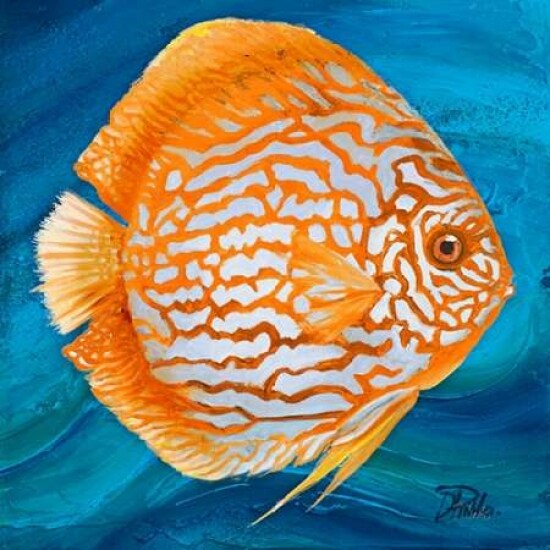 Vibrant Sea Life II Poster Print by Patricia Pinto - Item # VARPDX9213B