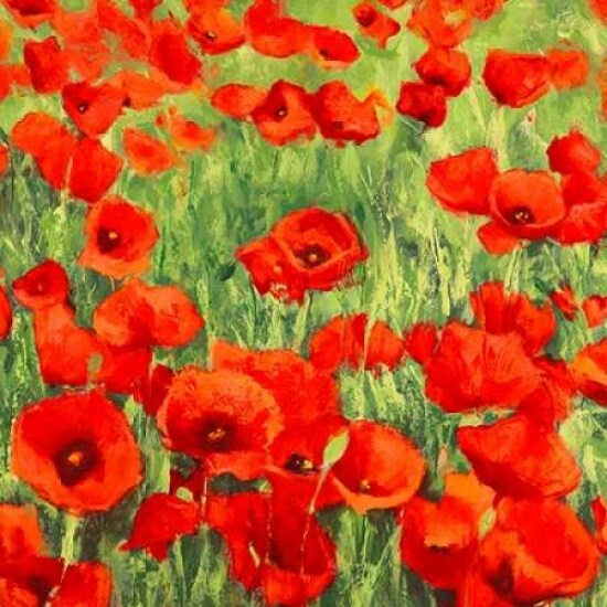 Poppies Poster Print by Silvia Mei - Item # VARPDX1SM2378