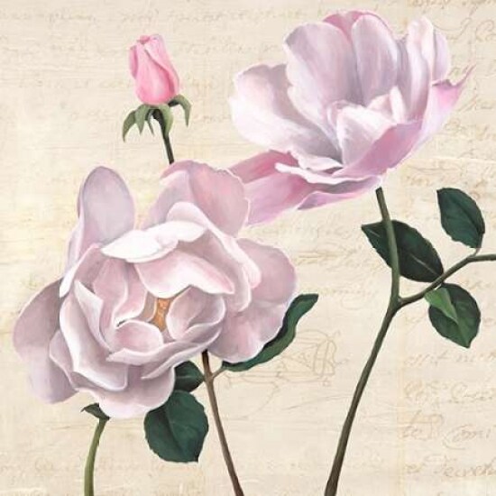 Classica II Poster Print by Remy Dellal - Item # VARPDX1DE1887