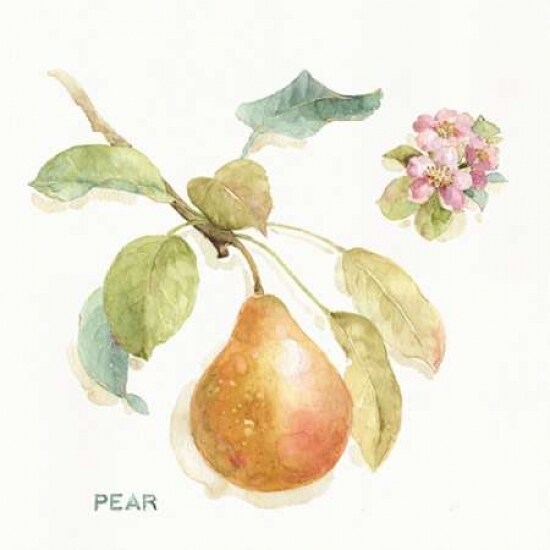 Orchard Bloom II Poster Print by Lisa Audit - Item # VARPDX21738