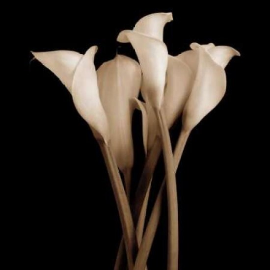 The Gathering Poster Print by John Rehner - Item # VARPDXRJP215