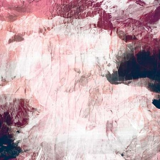 Abstract Roses Poster Print by PI Galerie