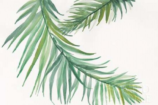 Ferns IV Poster Print by  Chris Paschke - Item # VARPDX24946