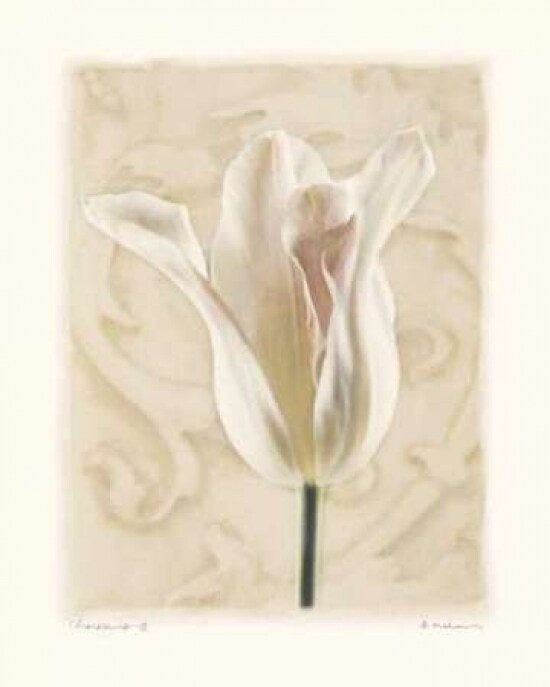 Chiaroscuro II Poster Print by Amy Melious - Item # VARPDXMEL260