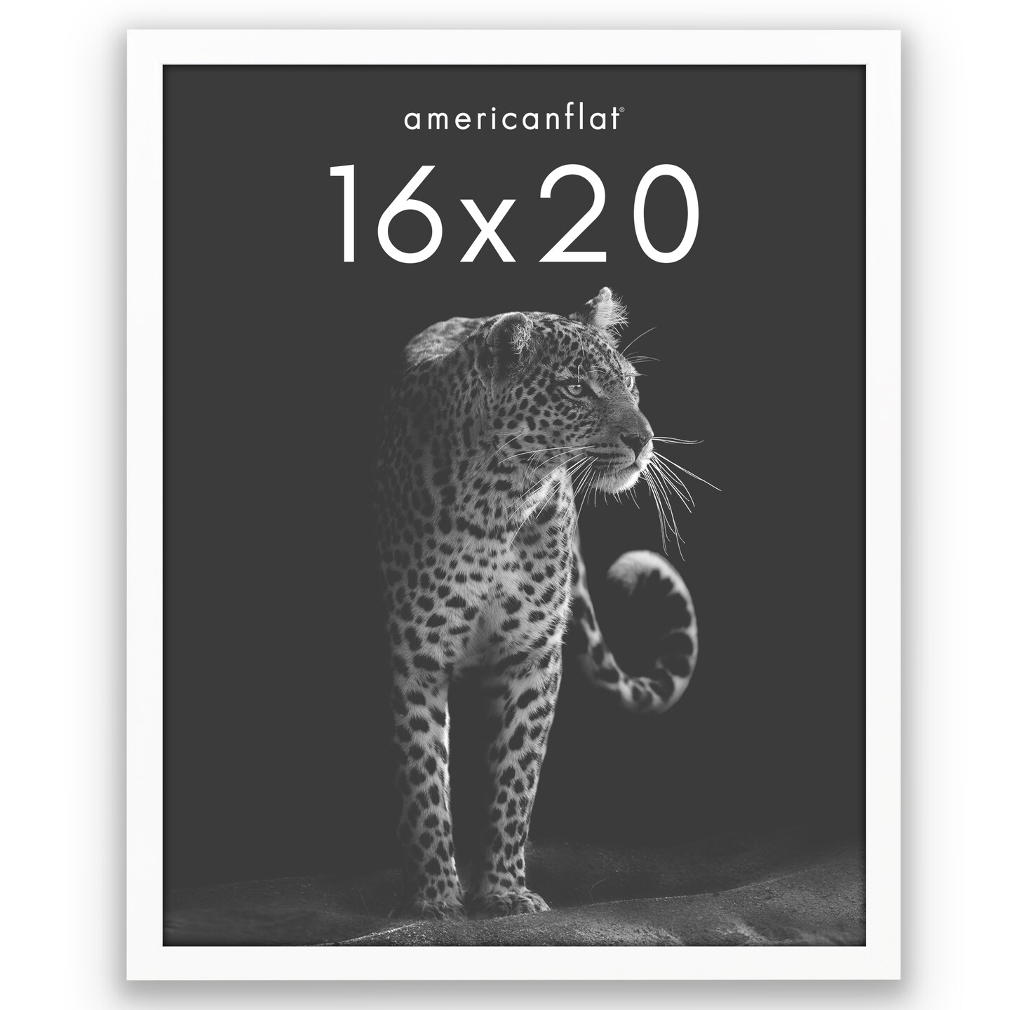 Americanflat Gallery-Style Picture Frame - Ideal Frame for Gallery Wall Display - Showcase Artwork, Prints, and Photos - Shatter Resistant Glass - Hanging Hardware with Drywall Anchor