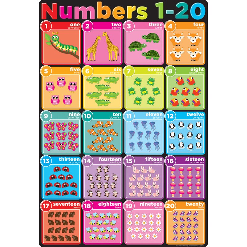Smart Poly&#xAE; Chart Numbers 1-20, 13&#x22; x 19&#x22;