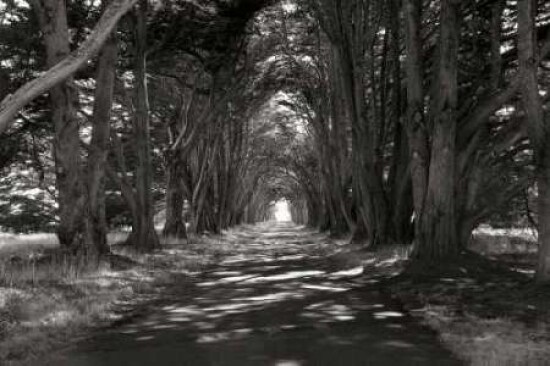 Point Reyes II Poster Print by George Johnson - Item # VARPDXPSJSN120