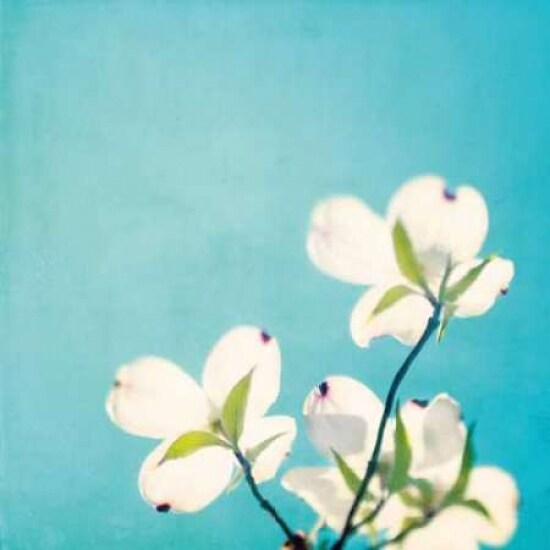 A Life So Colorful Poster Print by Carolyn Cochrane - Item # VARPDXC811D