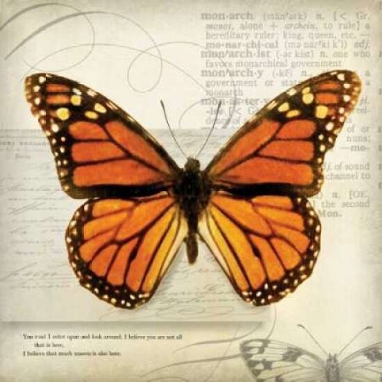 Butterflies Script II Poster Print by Amy Melious - Item # VARPDXMEL417